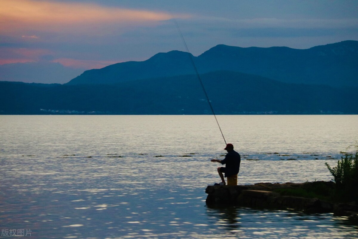 玉米钓法在什么样的环境下用,玉米打窝玉米作钓技巧