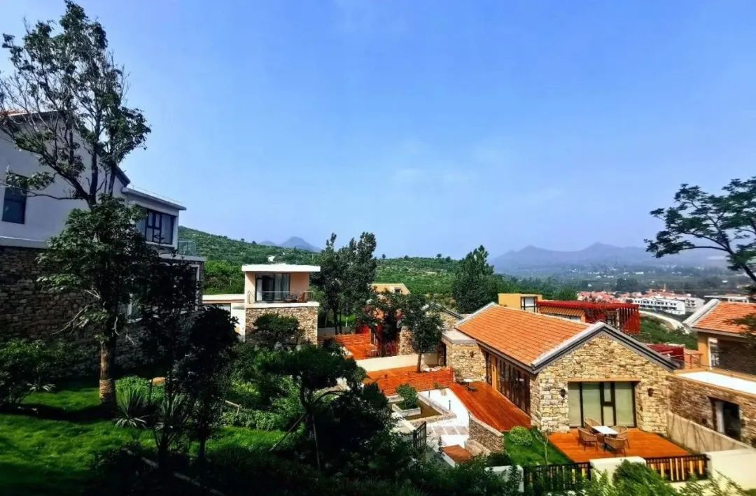 解析全国16个整村运营,解码全国16个整村运营经典案例