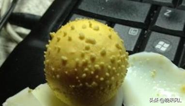 全面揭秘神秘的苗疆巫蛊,揭秘中国千年蛊毒之谜