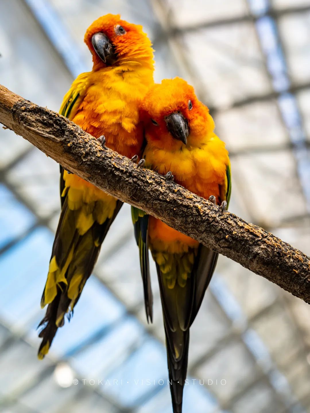 日本静冈市旅游,日本打卡景点小众静冈