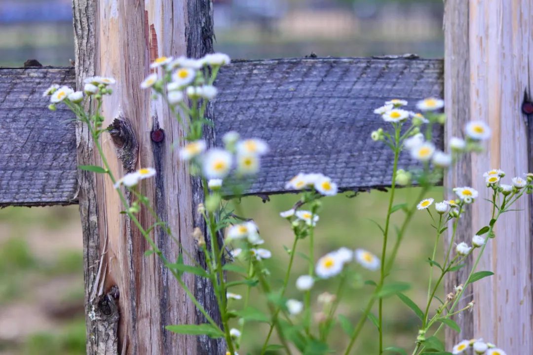 这才是清凉夏天的打开方式,清凉一夏夏天的正确打开方式