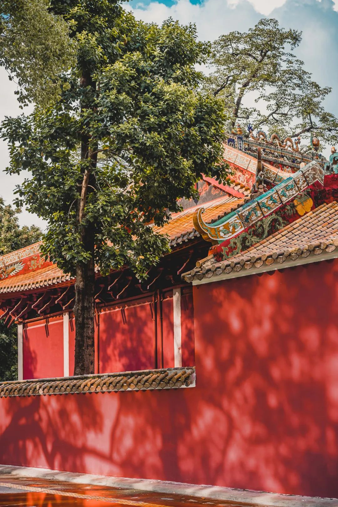 广州这条路，治好了我的审美疲劳