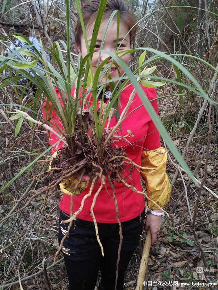安吉竹海自驾游攻略一日游,安吉竹海旅游攻略二日游