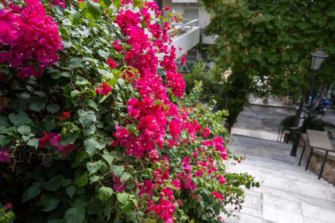 新品评测：Tokina11-18mmF2.8E多场景摄影搭档