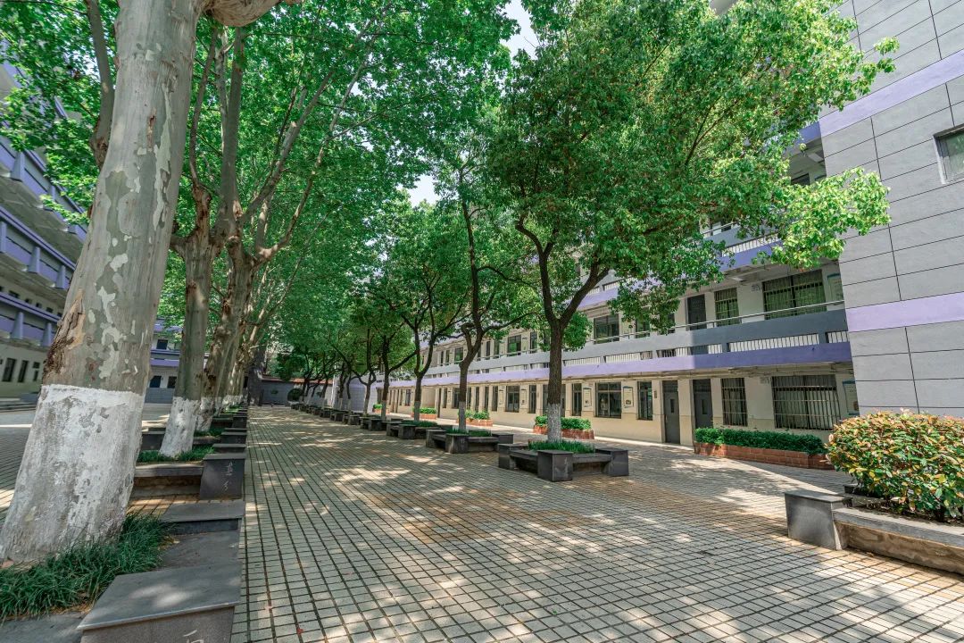 南京比较强的高中,南京厉害的高中