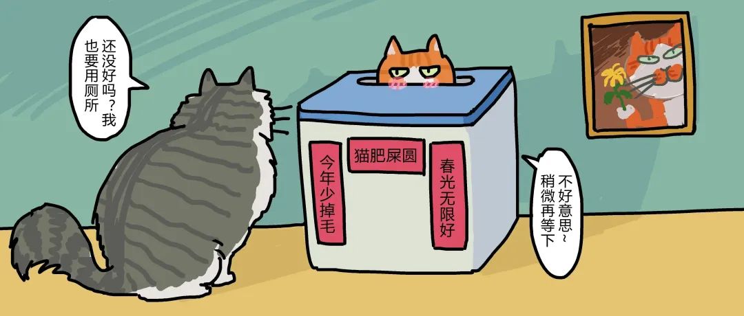 猫猫便血过后拉不出来了,猫猫便血是感染弓形虫了吗