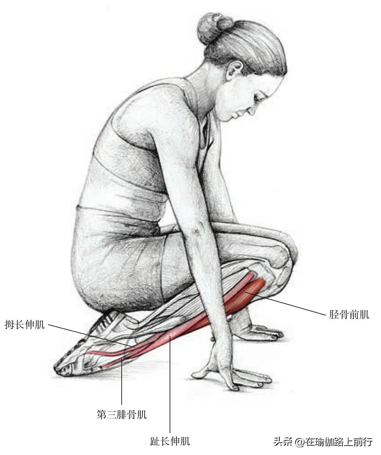 胫束拉伸的正确步骤,髌胫束拉伸