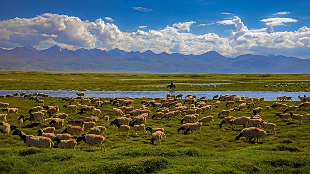 可可托海传奇疆菜,信马游疆可可托海