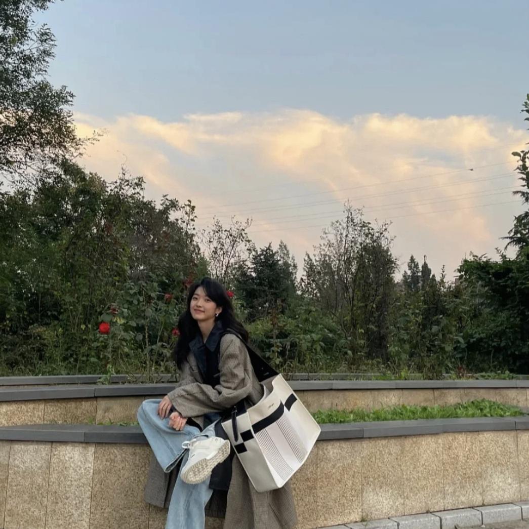 平价包包推荐小众学生大容量,包包推荐小众高级感平价托特包