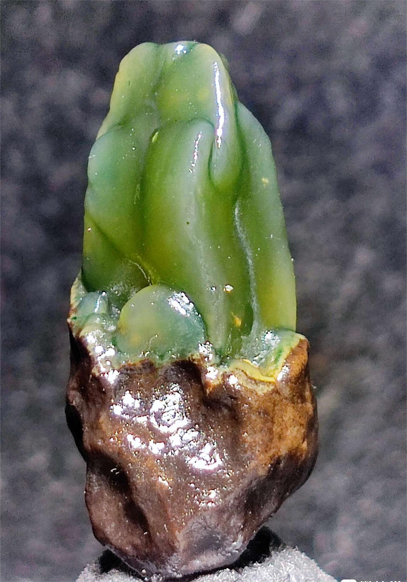 不一样的多彩世界，戈壁奇石玛瑙