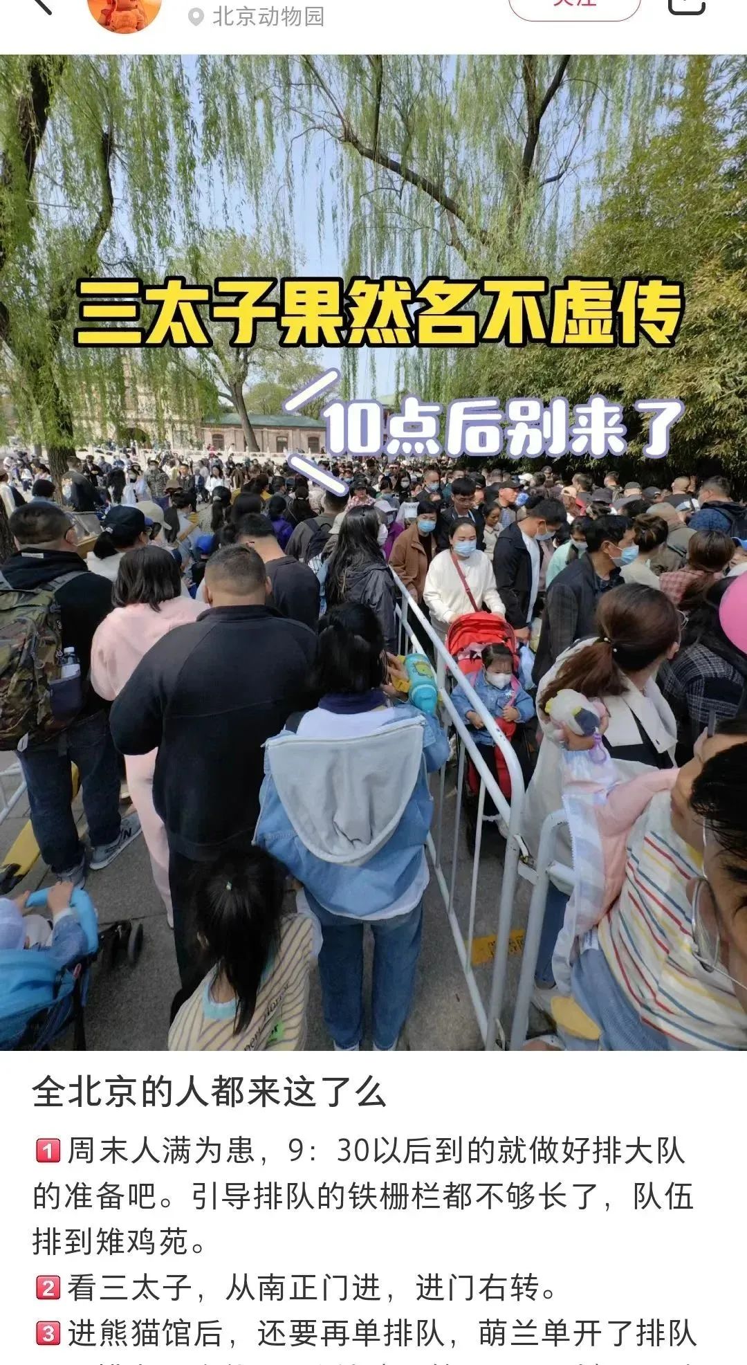 凌晨两点开始排队，年轻人怎么爱上了动物园？