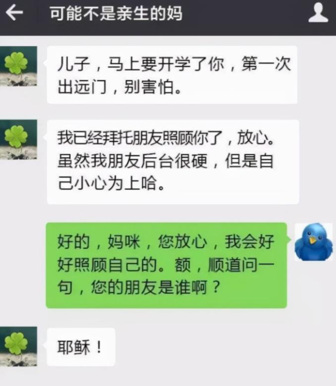 “普信女真下头”，大学生晒出与家长的扎心对话，被怼到没脾气
