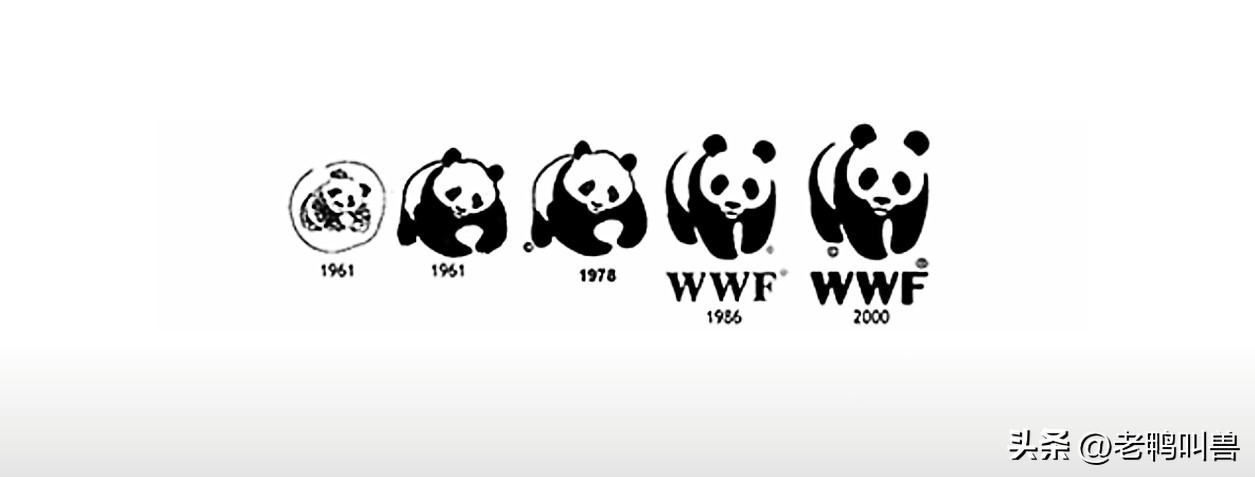 熊猫外交带来的经济效益,熊猫外交新闻稿