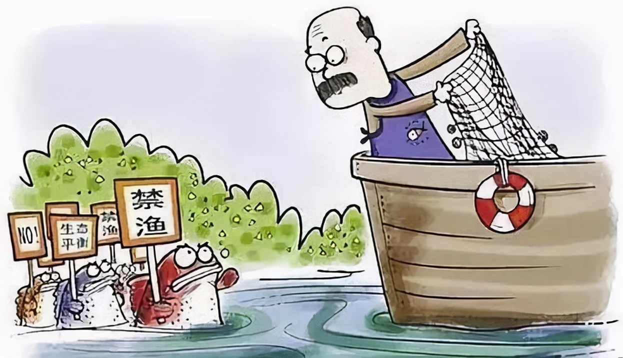 十年禁渔看长江鱼群物种更多样,长江禁渔仅两年就鱼群翻涌