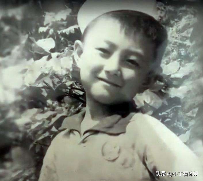 主持人王宁为啥要娶刘纯燕,央视主持人王宁现况