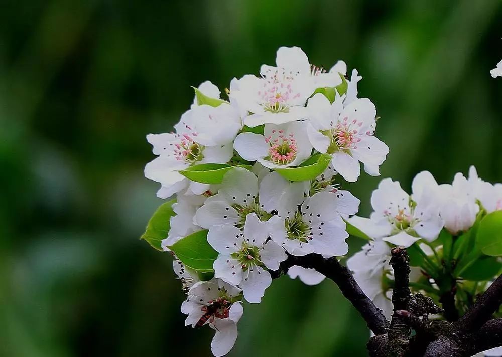 感冒鼻炎几天才能好,感冒与鼻炎症状区别