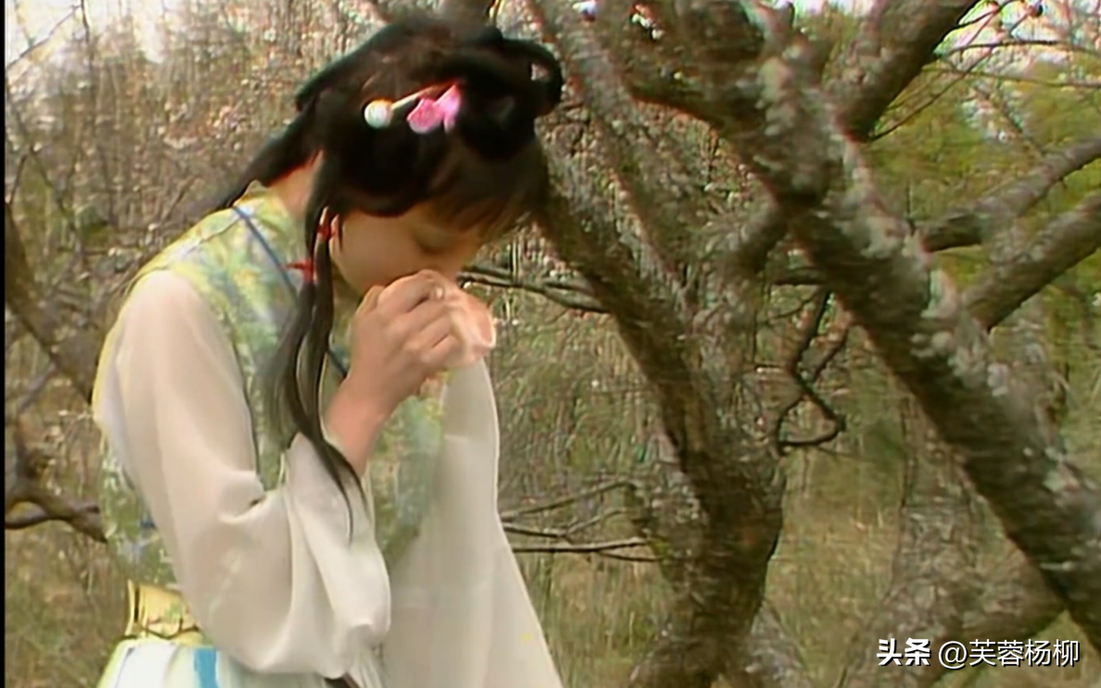 《红楼梦之金玉良缘》,红楼梦之金玉良缘第1集