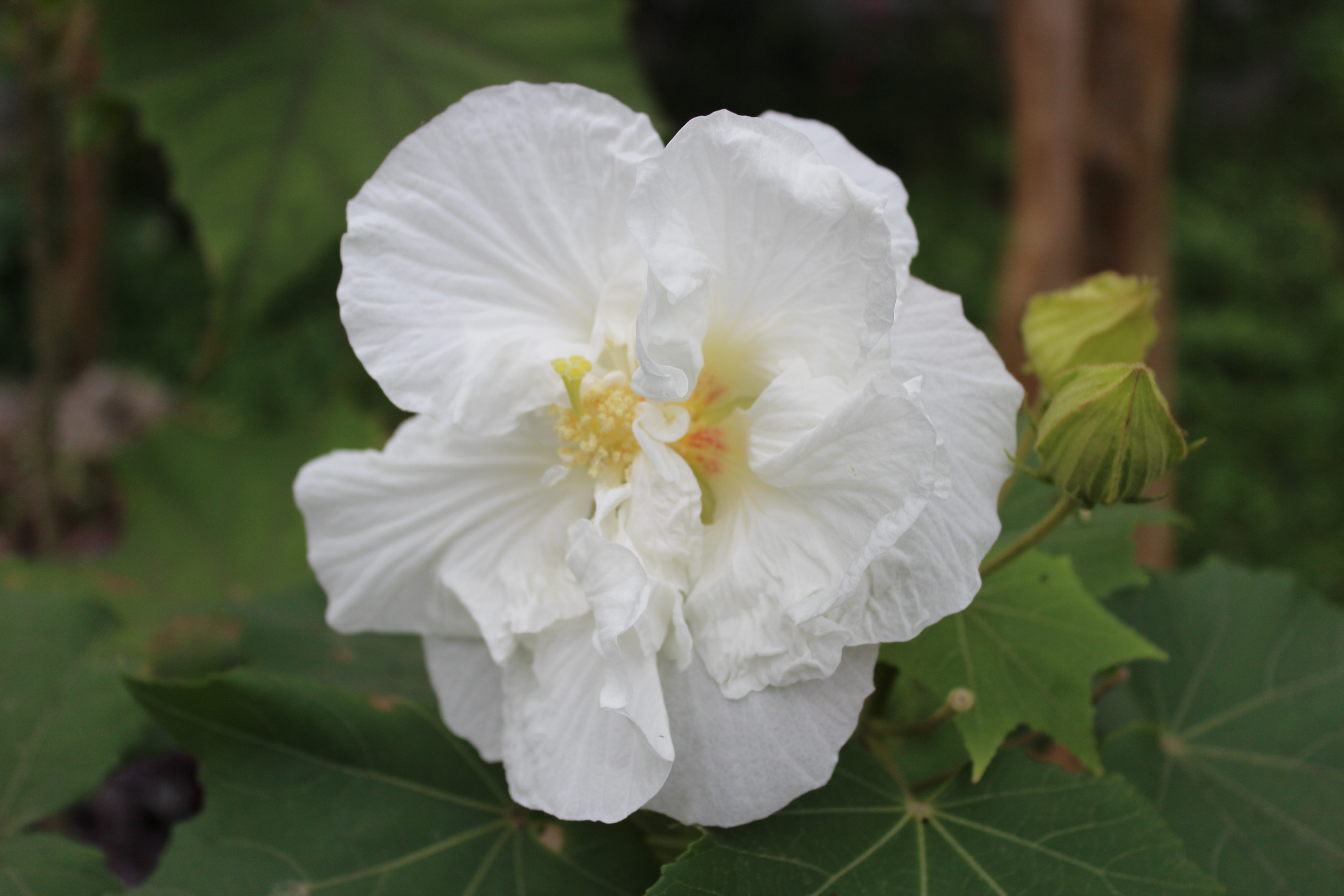 台湾行之垦丁南湾沙滩,台湾行