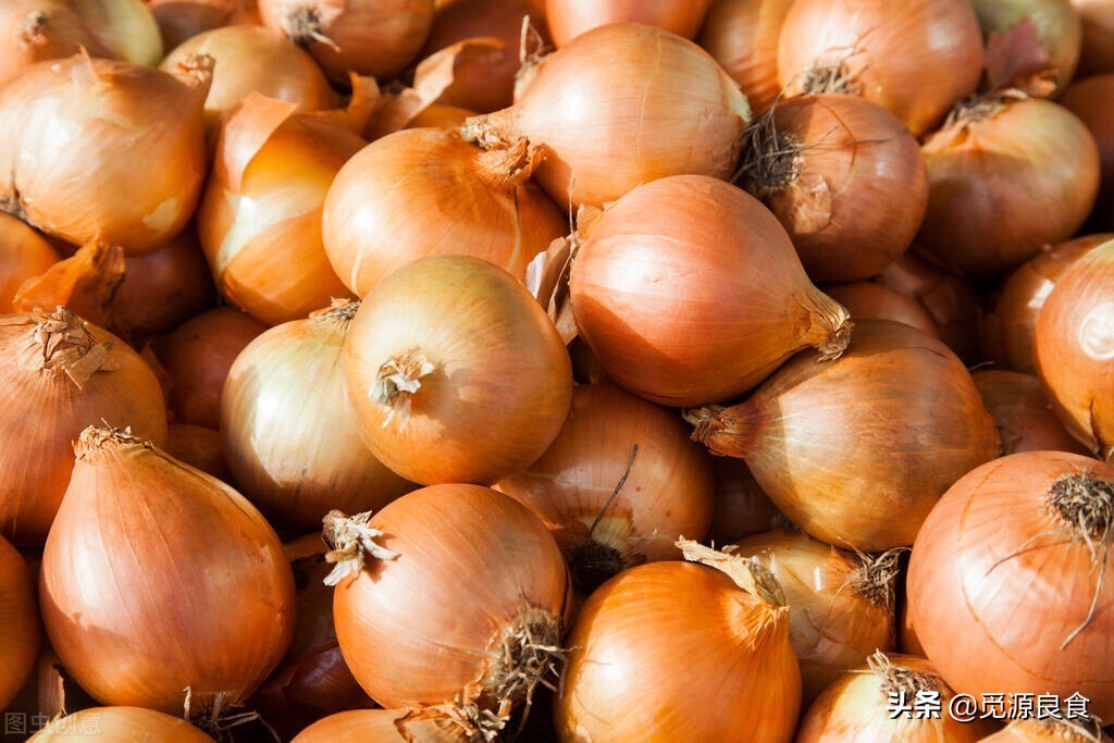黄皮洋葱和红皮洋葱哪个好,黄皮洋葱和紫皮洋葱的区别