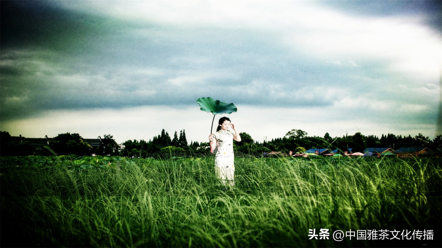 往事越千年人生弹指间意思解释,往事越千年人生弹指间的含义