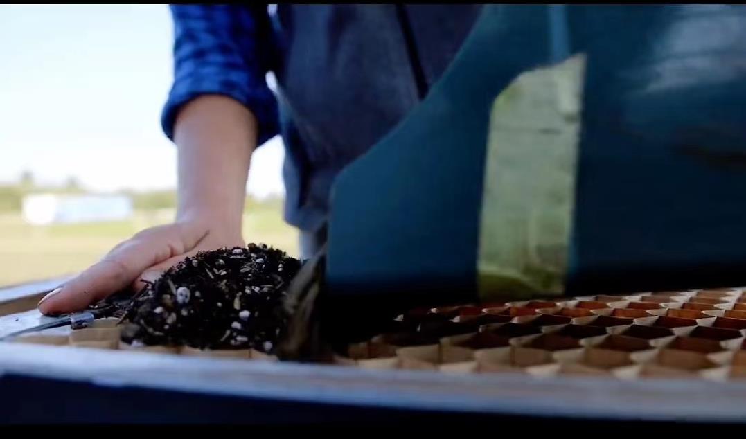 欧洲家庭农场种植技术,小型先进农业工具