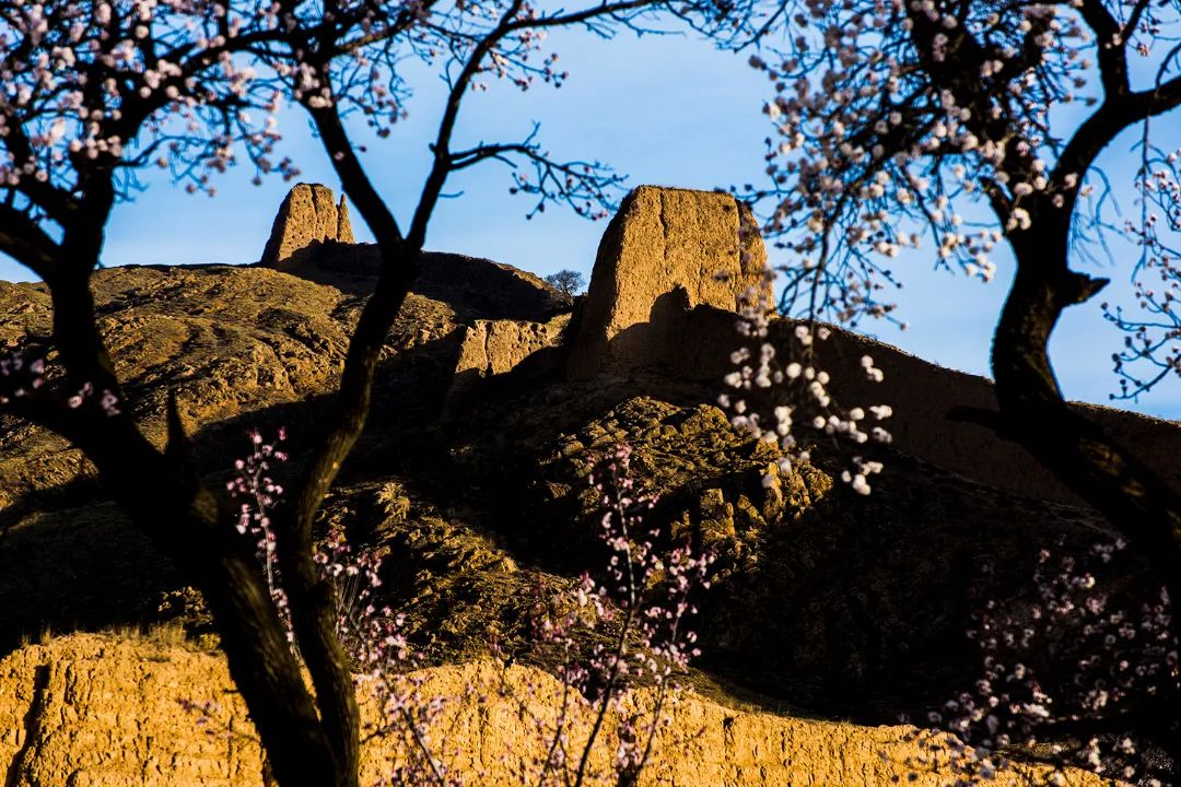 迎接党的20大美术作品,喜迎二十大乡村摄影展