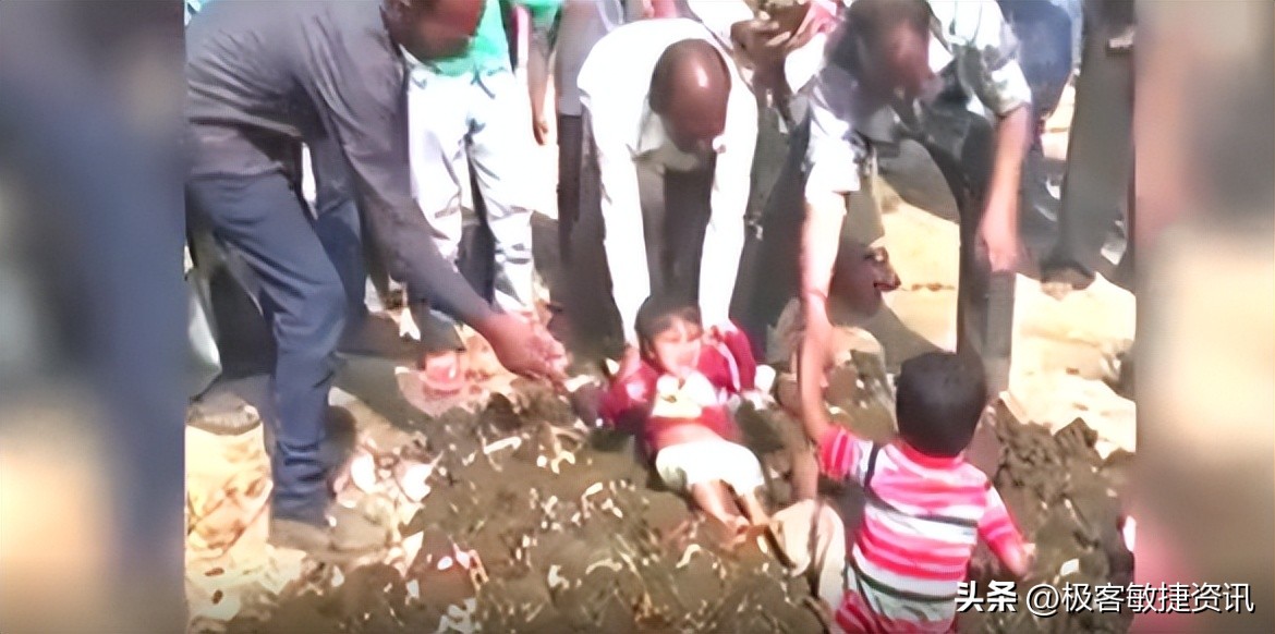 印度对牛和牛产品的疯狂热爱