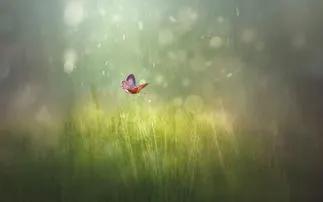 曹爱晨相亲记,相亲微小说全集