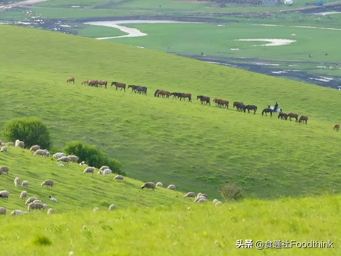 工业化养殖全过程,工业化养殖的最佳方式