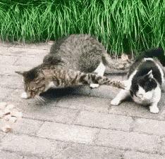 女孩子看起来外表美丽，其实裤袜已经掉到大腿根了！哈哈哈