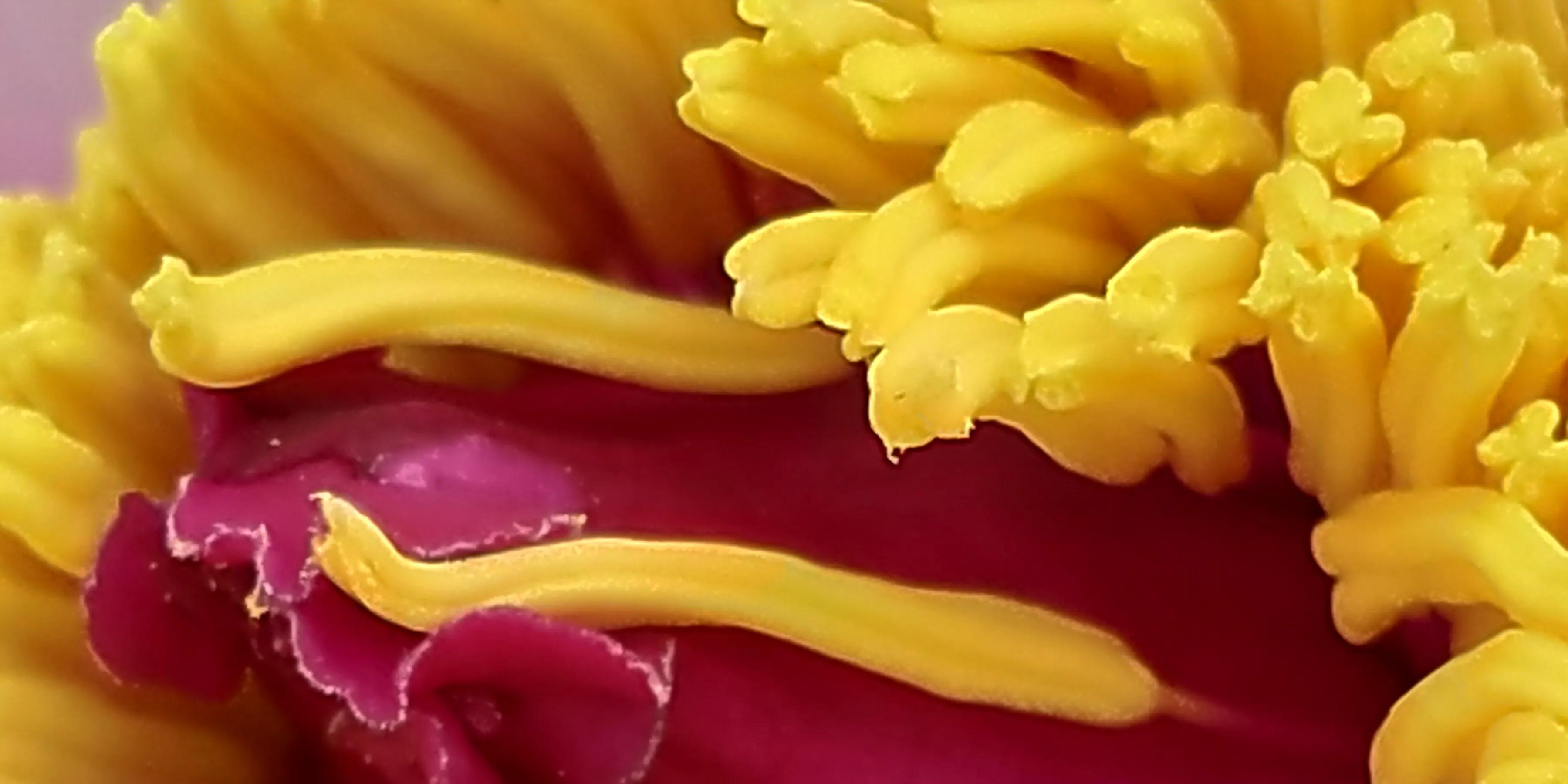 手拍世界近期作品,手拍世界完整版视频