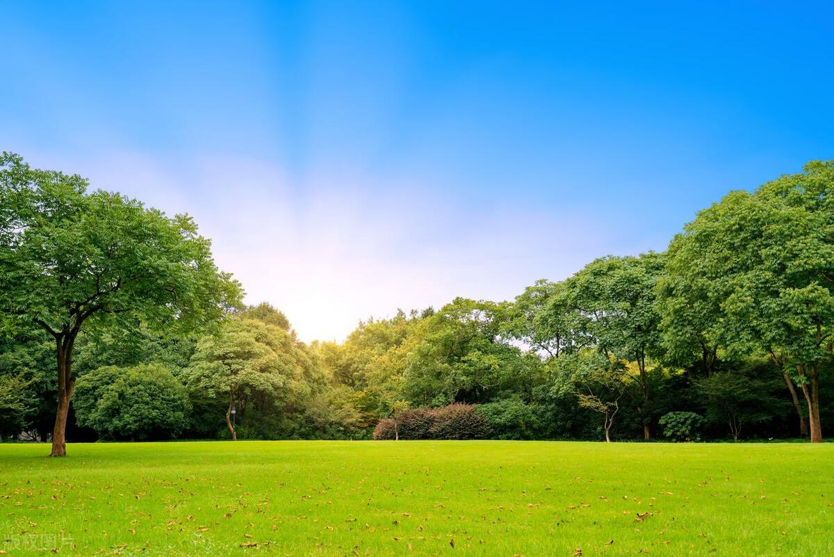 园林绿化养护一般包含哪些内容,园林绿化属于什么经费