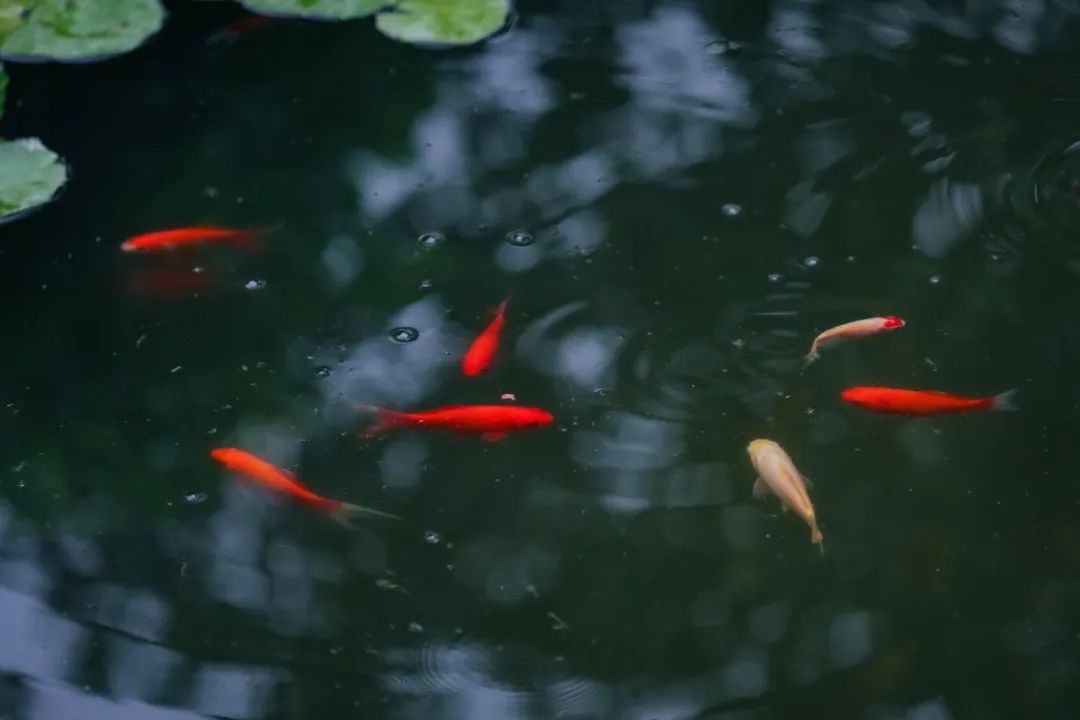 什么是美?戳这篇,鲁南制药给你答案