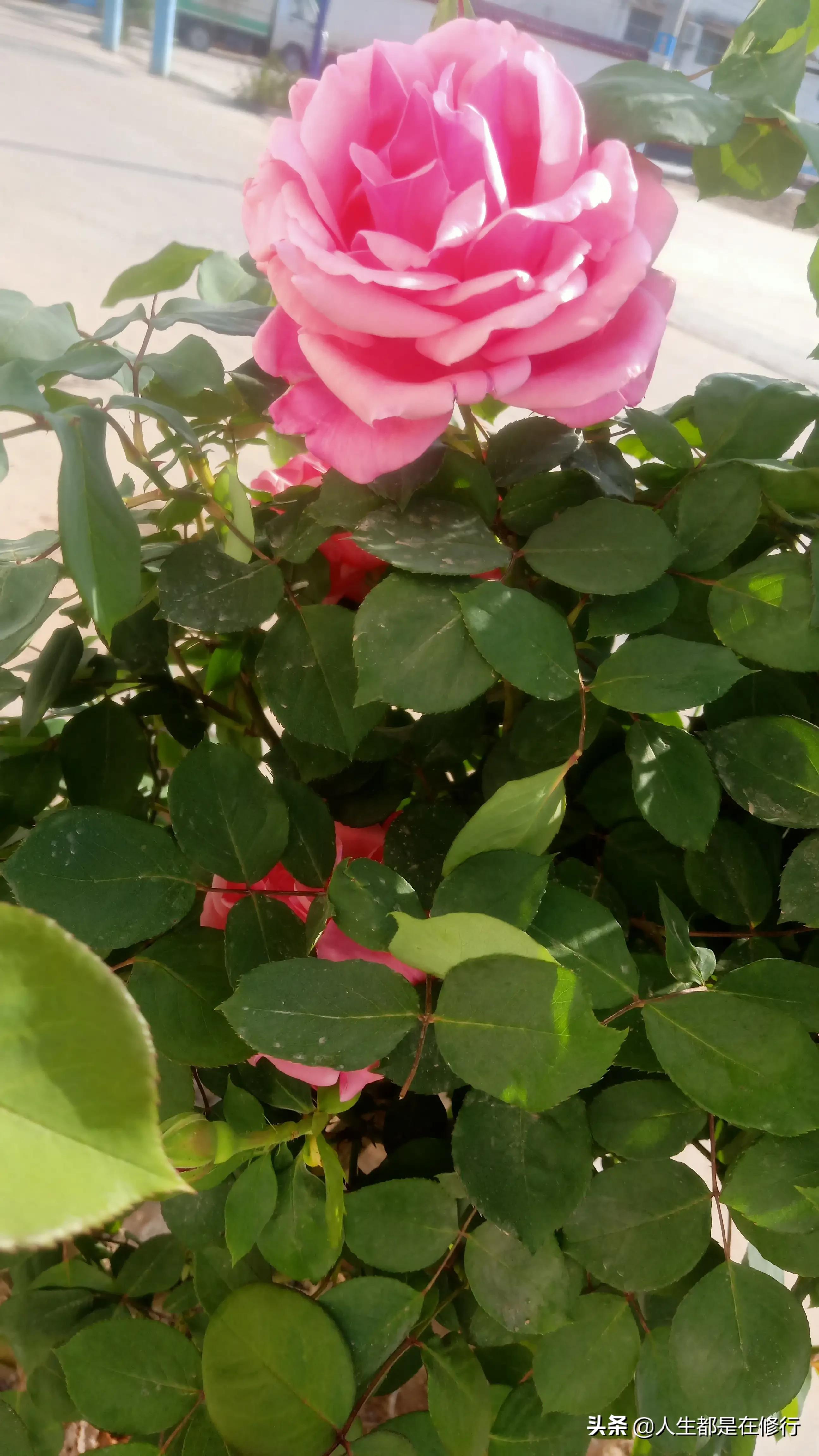 教大家一种拒绝的方法,拒绝别人的七个技巧教学