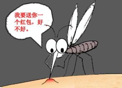 家里长一盆薄荷的好处,家里养一盆薄荷有什么好处