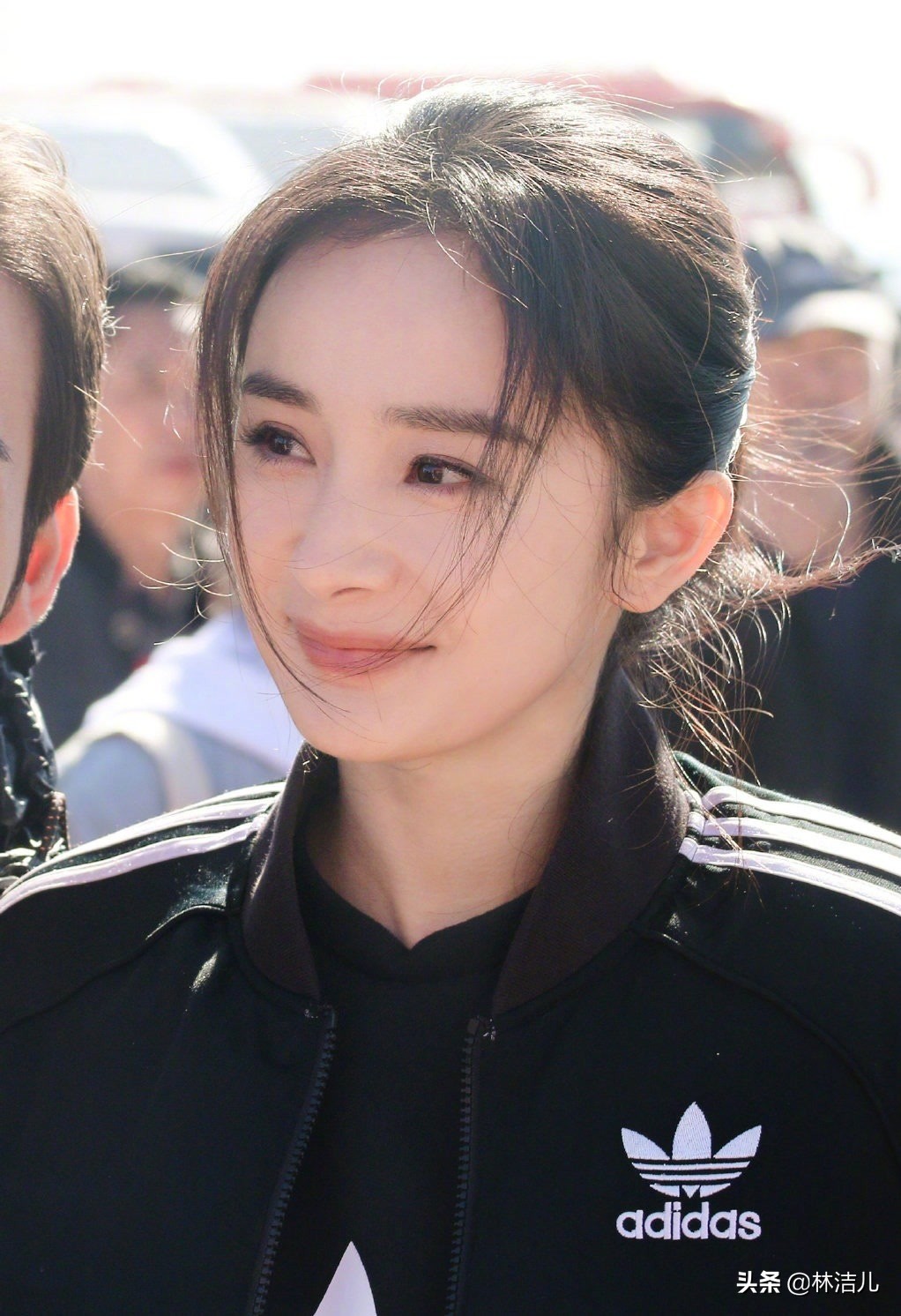 宋智雅金晨,金晨宋智雅