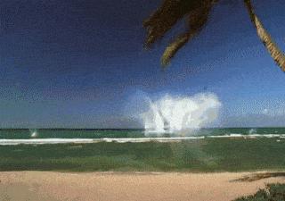 飞机装大型降落伞,飞机坠毁前黑匣子可以弹射吗