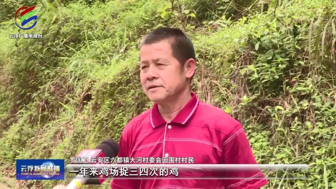 向上突围丨智慧养殖，云安这家企业养出生态“南药鸡”