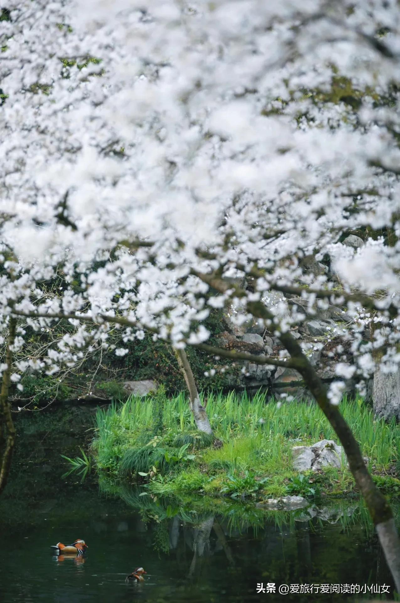 杭州西湖风景名胜区8月攻略,杭州西湖美景旅游攻略三天