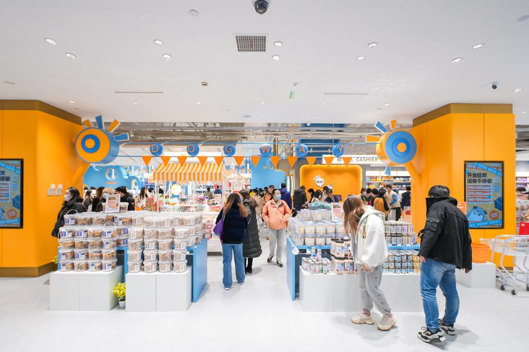 狗道宠物dogway上海店,专访doggo