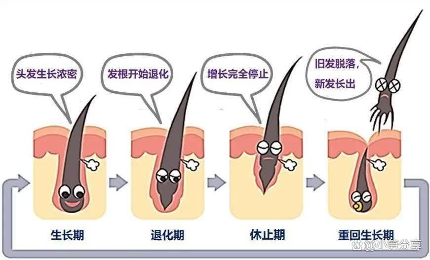 养发护发知识讲解,哪里的护发知识权威