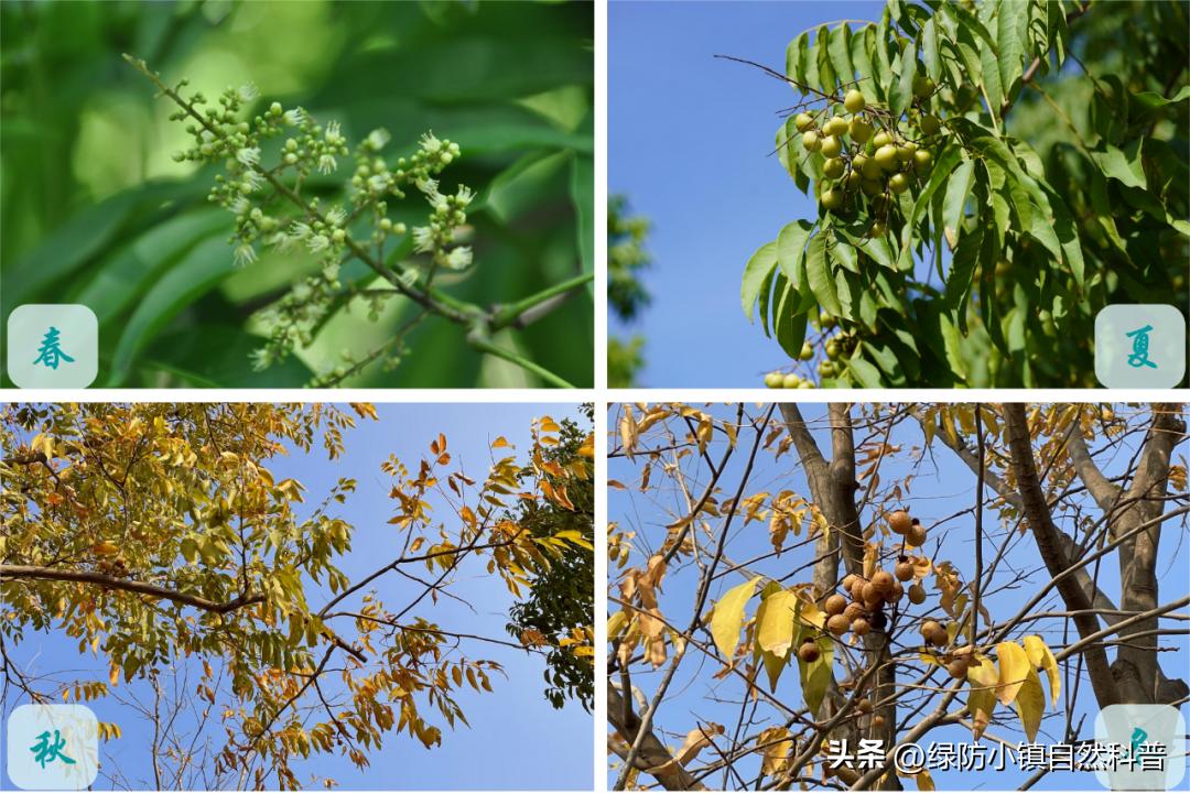 自然科普必读书籍,自然科普植物