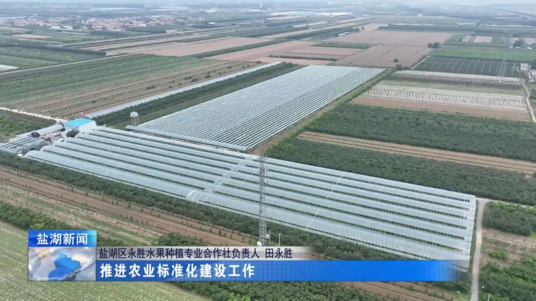 田永胜:小葡萄“串”起致富路