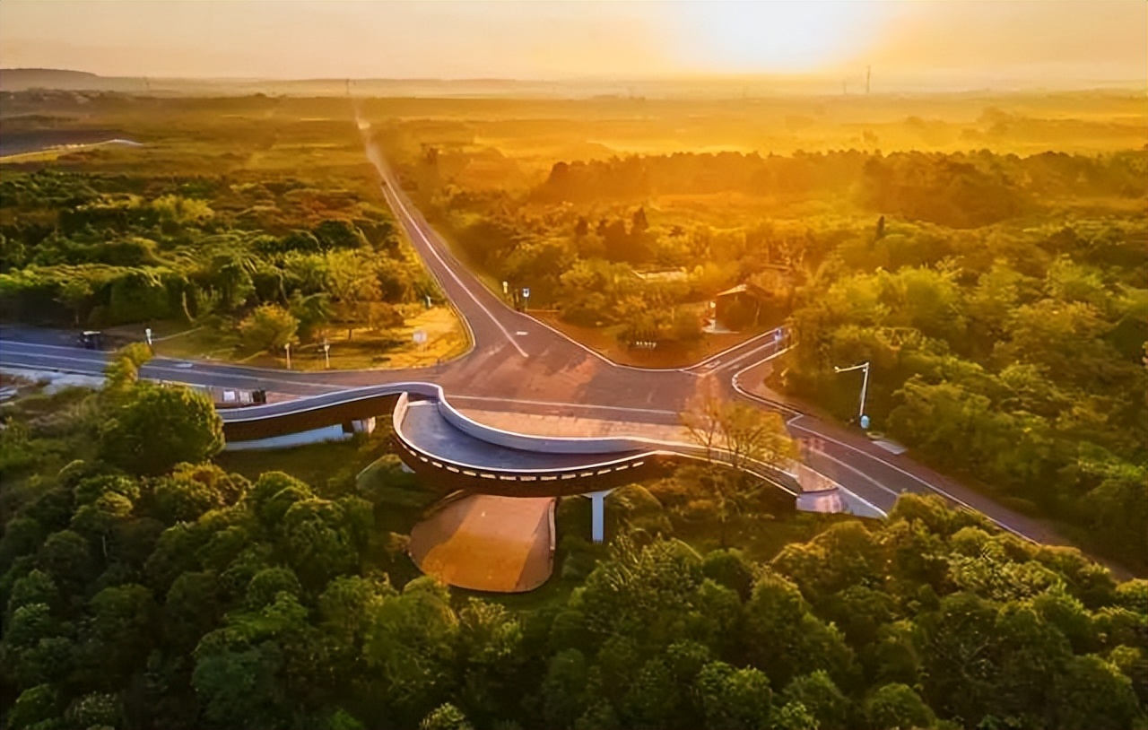 南山竹海御水温泉竹溪谷酒店,御水温泉竹溪谷酒店赏竹