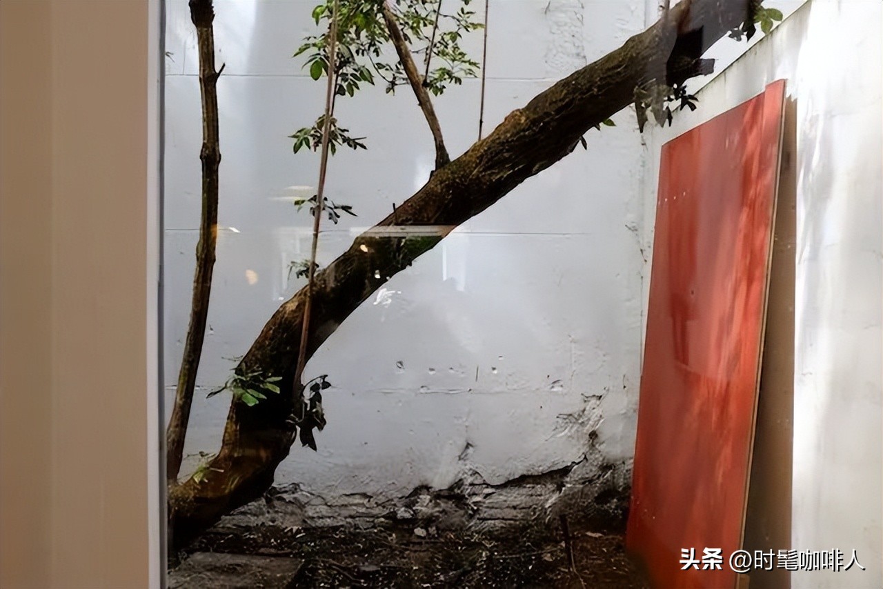 除了运河和单车，阿姆斯特丹也是欧洲文青咖啡的翘楚