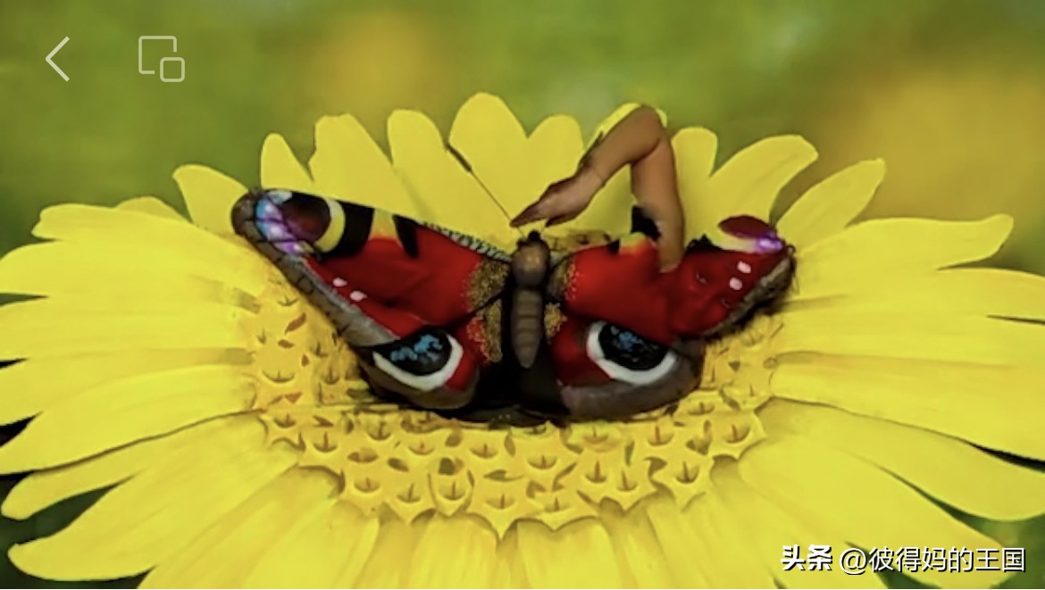 惊艳你的人体艺术！