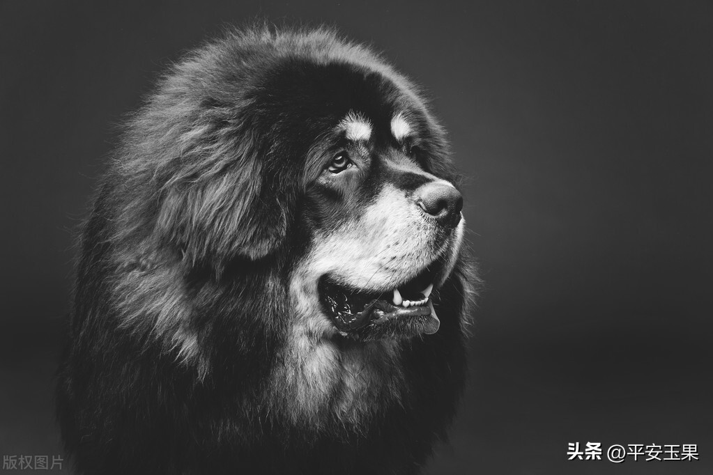 一次摄影之旅,一次拍摄失误的后果