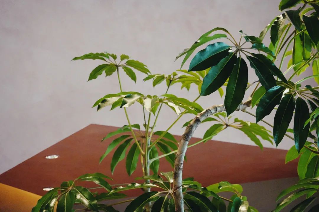 bluebottlecoffee上海首店,bluebottle上海前滩太古里店