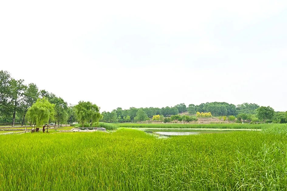 北京免费景美公园大全,北京这个公园也很美