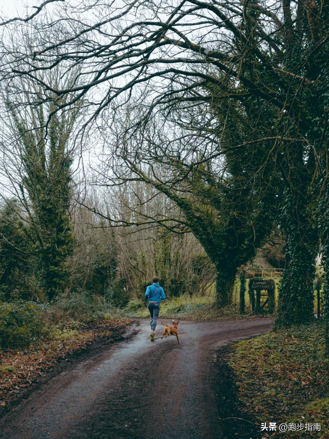 晨跑坚持不下去了怎么办,晨跑坚持不了两公里